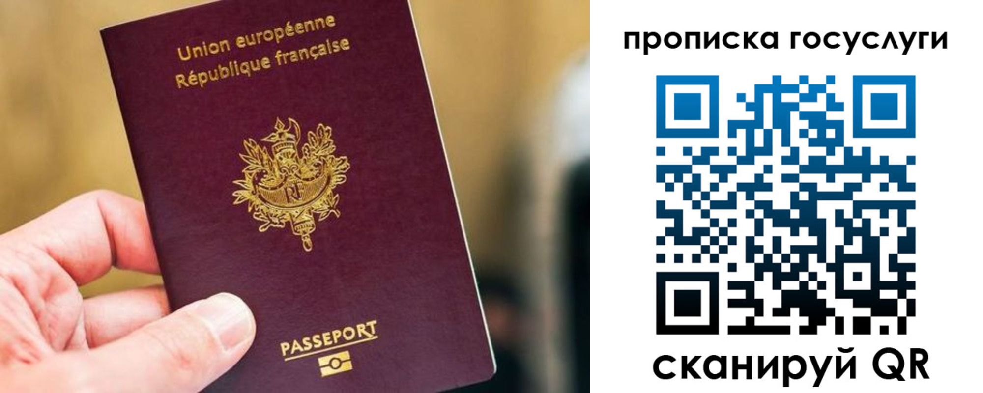временная регистрация поиск в Анапе